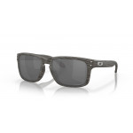 Oakley Holbrook Woodgrain + Prizm Black Polarized