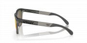Oakley Frogskins Range