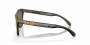Oakley Frogskin Range