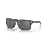 Oakley Holbrook Woodgrain + Prizm Black Polarized